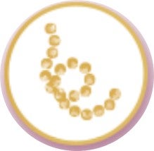 Proteína hidrolizada