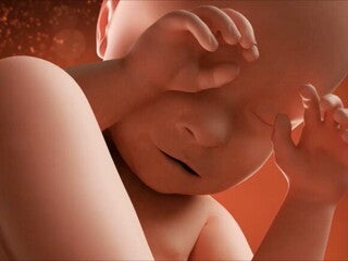 Feto de 39 semanas de embarazo Feto de 39 semanas de embarazo