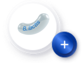 B. Lactis