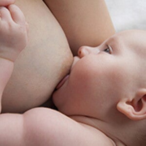 mastitis mastitis