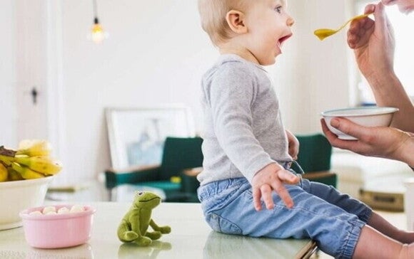 alimentacion complementaria para bebes