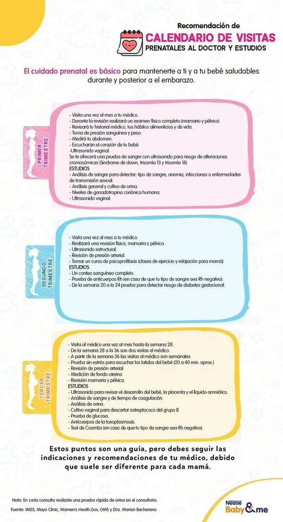 Calendario de visitas prenatales al doctor por trimestre