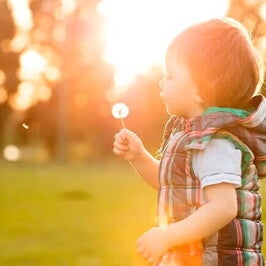 Calculadora de Alergias